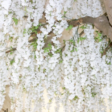 Wisteria Tree Rentals for Weddings