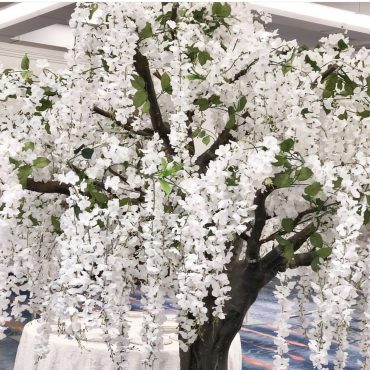 White Wedding Tree Rental